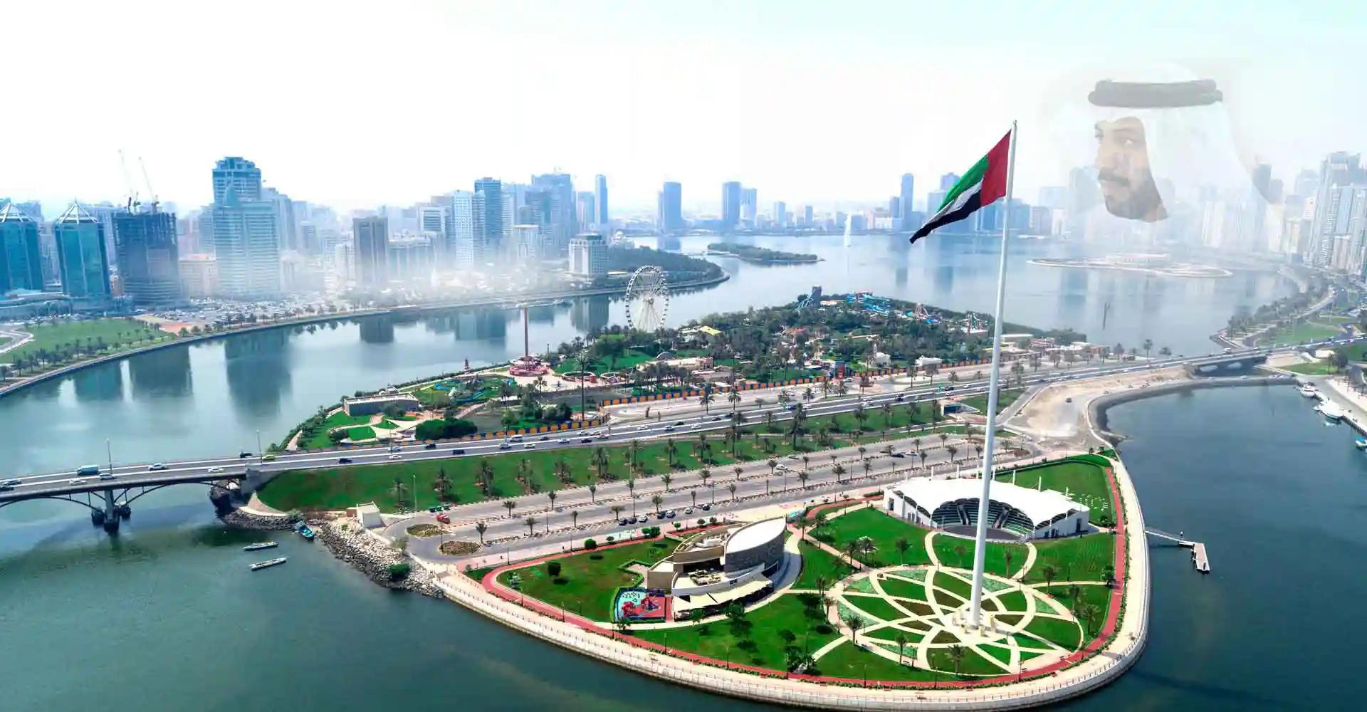 Ventures Portfolio Background